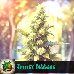 Fruity Pebbles Marijuana Seeds