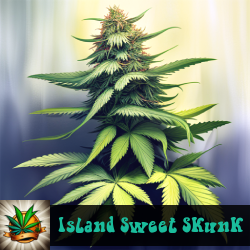 Island Sweet Skunk Marijuana Seeds